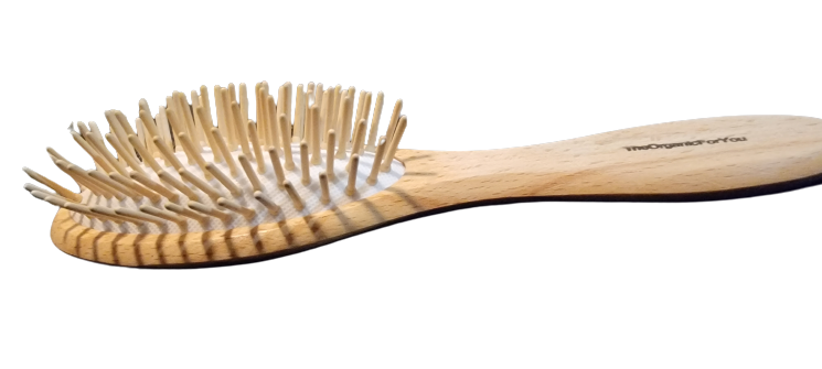 BB Wood Comb | Light-weight | Oval with straight long wooden pins
