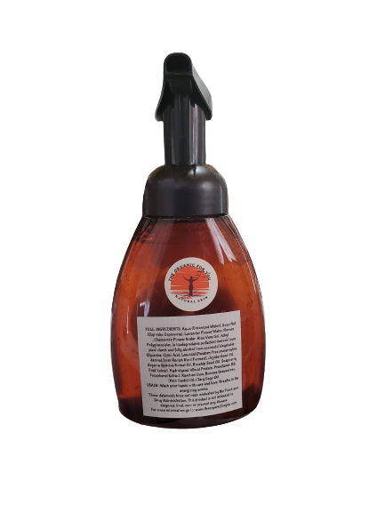 PALO SANTO BOTANICAL HAND CLEANSER