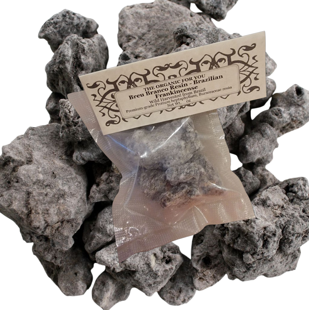 Harvesting: It's harvested by making small incisions in the tree's bark, allowing the resinous sap to flow and harden into tear-shaped droplets. This method is sustainable and allows for continuous harvesting over many years if done correctly.