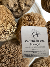 Load image into Gallery viewer, Caribbean Sea Sponges
