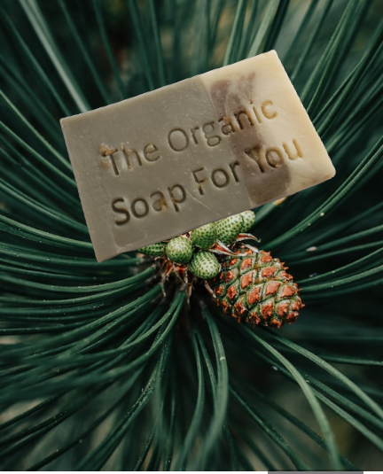 Pino Soap Bar | 4 oz