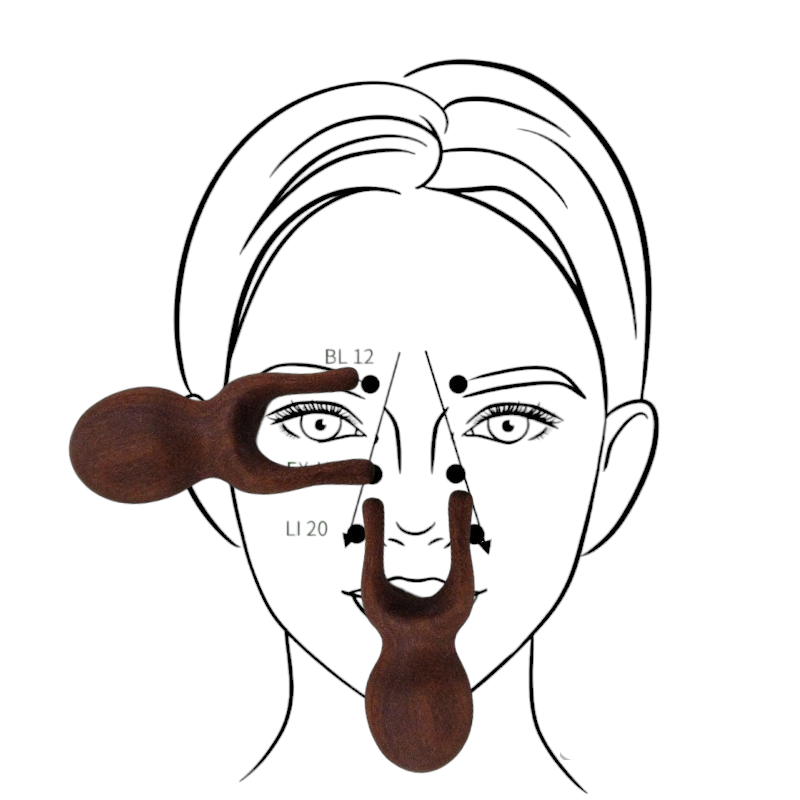 In traditional Chinese medicine (TCM), the body is believed to have a network of channels called meridians through which vital energy, known as "qi" or "chi," flows. These meridians are associated with specific organs and systems in the body. While meridians don't have precise physical locations, acupressure and acupuncture points along these channels are used to influence the flow of energy and promote balance.