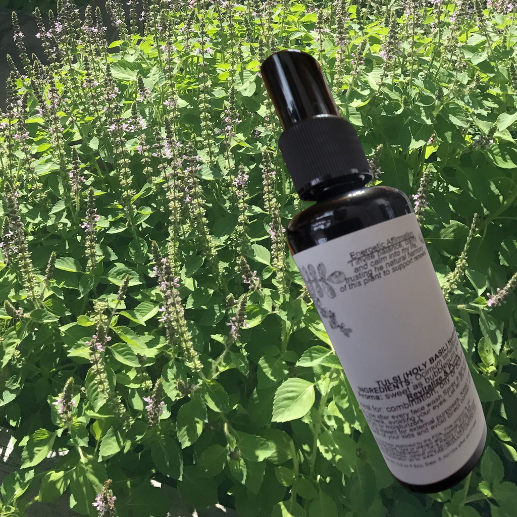 Tulsi Hydrosol