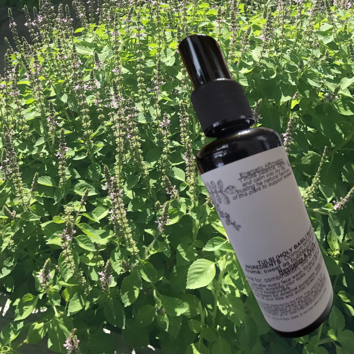 Tulsi Hydrosol
