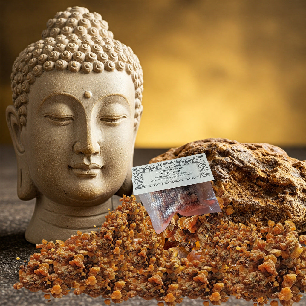 Somaliland Myrrh Resin – Commiphora myrrha