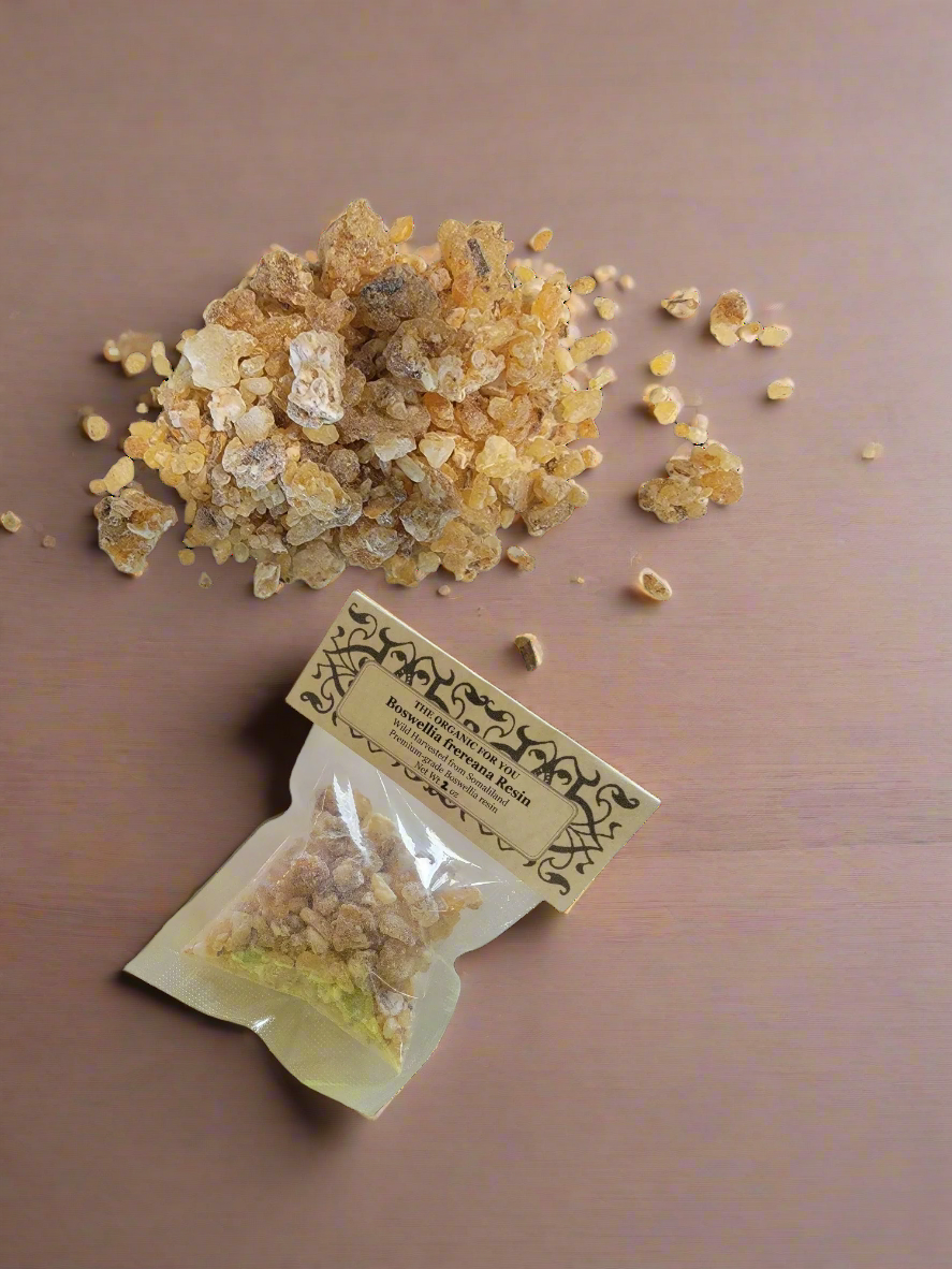 The harvest of gums and resins takes place during the dry season, as they are easily damaged by rain.