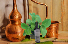 Load image into Gallery viewer, Oregano hydrolat is known for its antiseptic, antibacterial, antifungal, and anti-inflammatory properties. It is often used in skincare products due to its ability to soothe and calm irritated skin, as well as to promote healthy skin. hydrolat can also be used as a natural cleaning agent or disinfectant, as it has powerful antibacterial properties.

