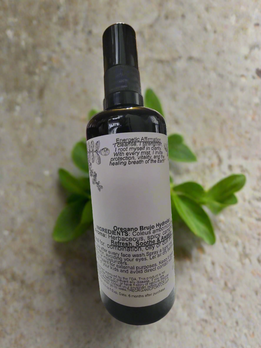 Steam-Distilled from Puerto Rican-Grown Coleus amboinicus