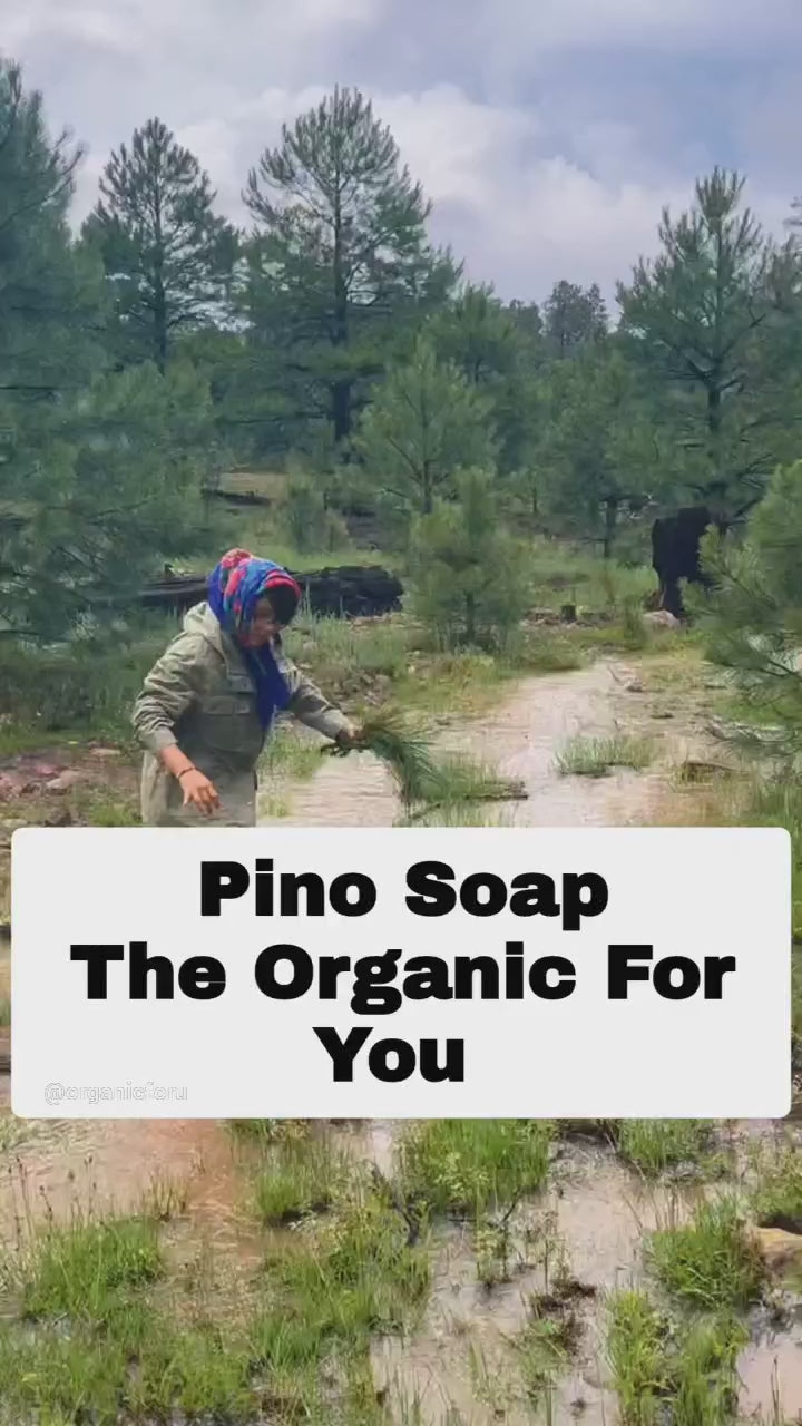 Pino Soap Bar | 4 oz