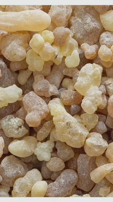 Seasonal |  Resin (Frankincense Frereana – (Maydi)
