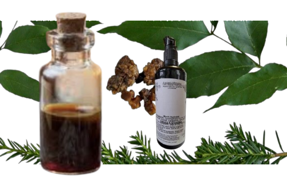 Pre-Order (Seasonal Harvest) Myrrh Hydrolat | 3.3 oz