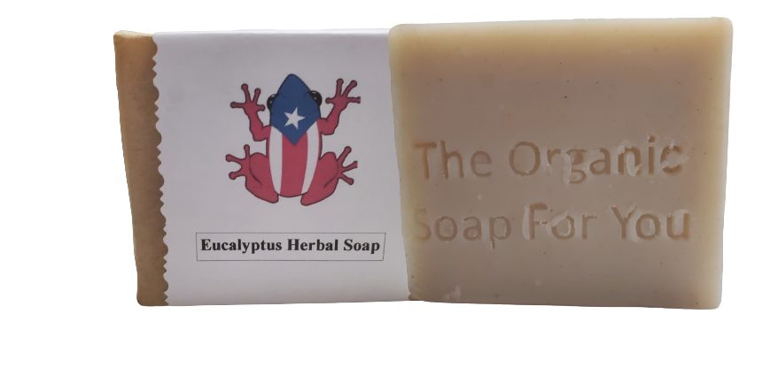 Eucalyptus Herbal Soap | Body Soap
