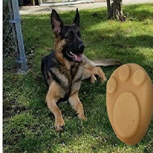Load image into Gallery viewer, Paw Lotion Bar
