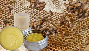Local Beeswax | Cappings  | NJ