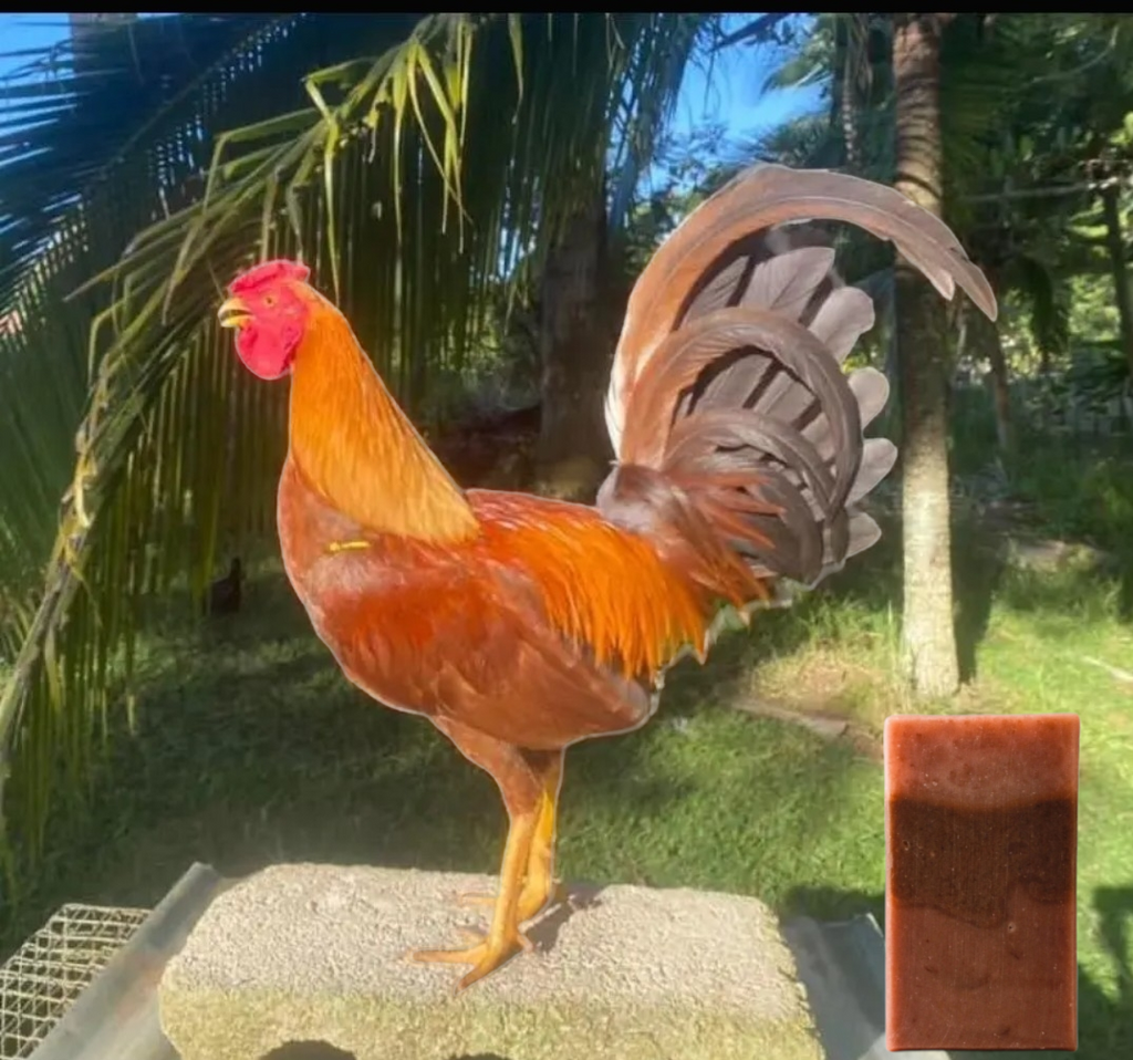 Gallo Cúrcuma Soap | 4 oz Body Soap