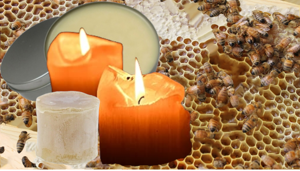 Local Beeswax | Cappings  | NJ