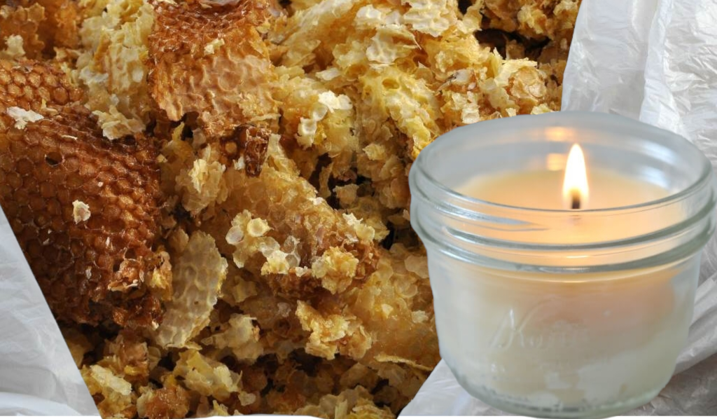 Beeswax is Renewable