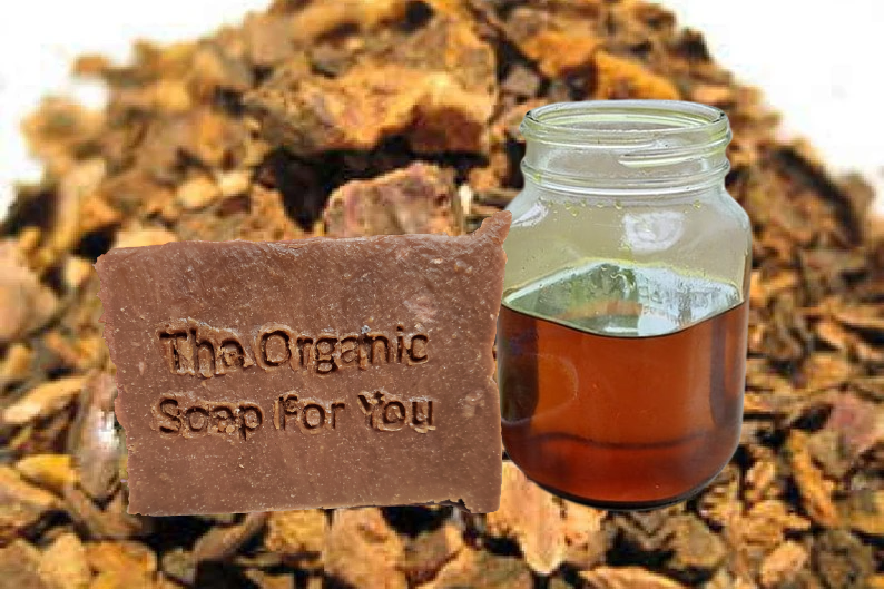 Rhubarb Indú Soap | 4 oz Bar